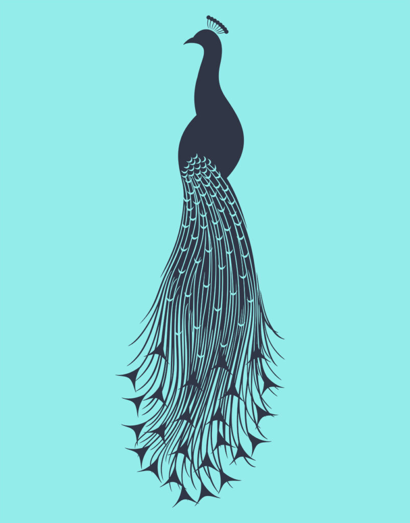 Expanded Peacock 